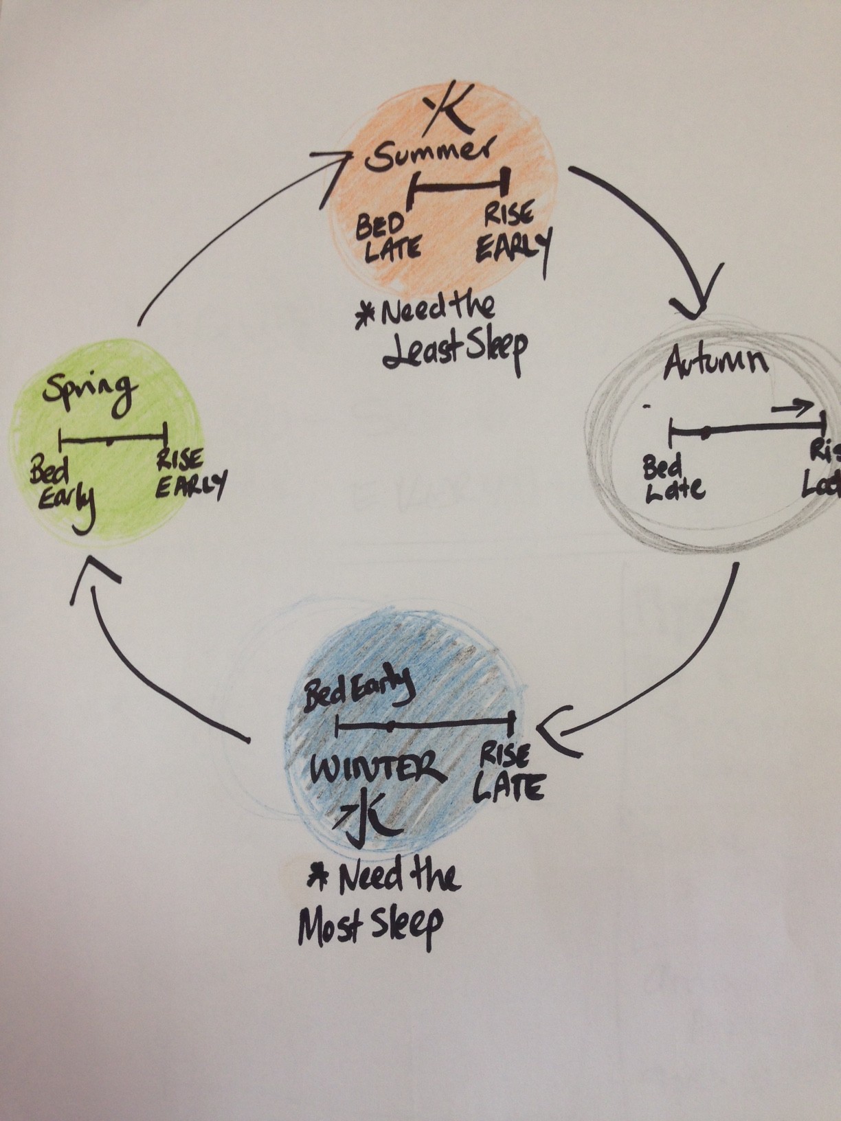 How much sleep do you really need?