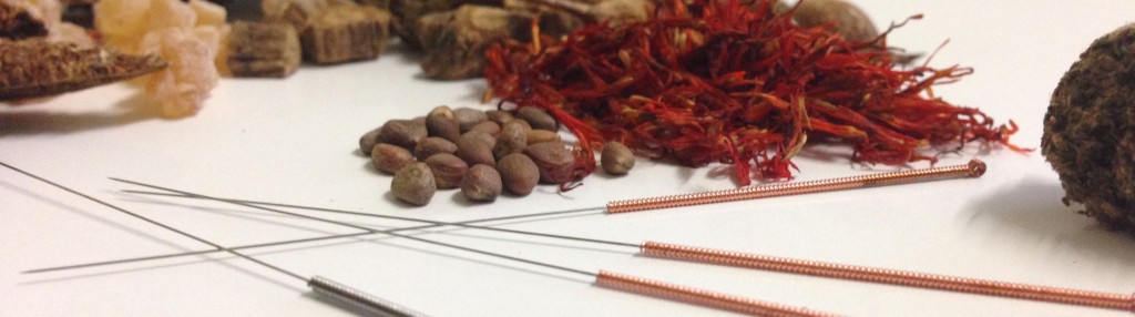 acupuncture north perth