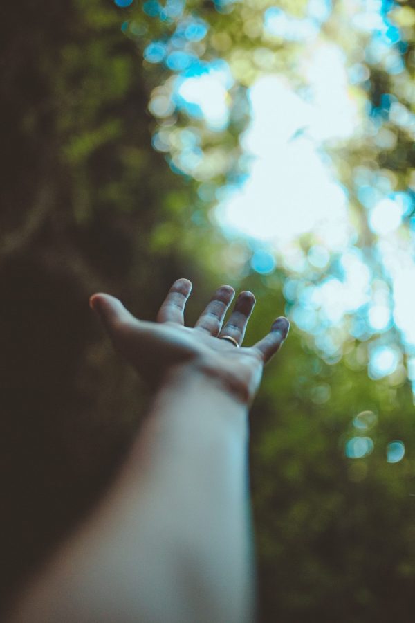 Self Care with the 5 Elements - start 27 April 2022